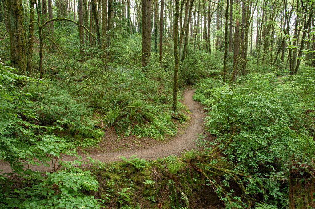 Exploring Portland's Outdoor Treasures: The Top Parks in Portland, OR ...