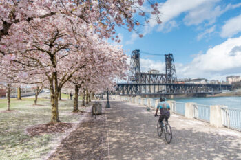 cycling in Portland