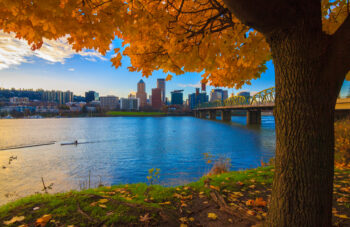 Autumn in Portland